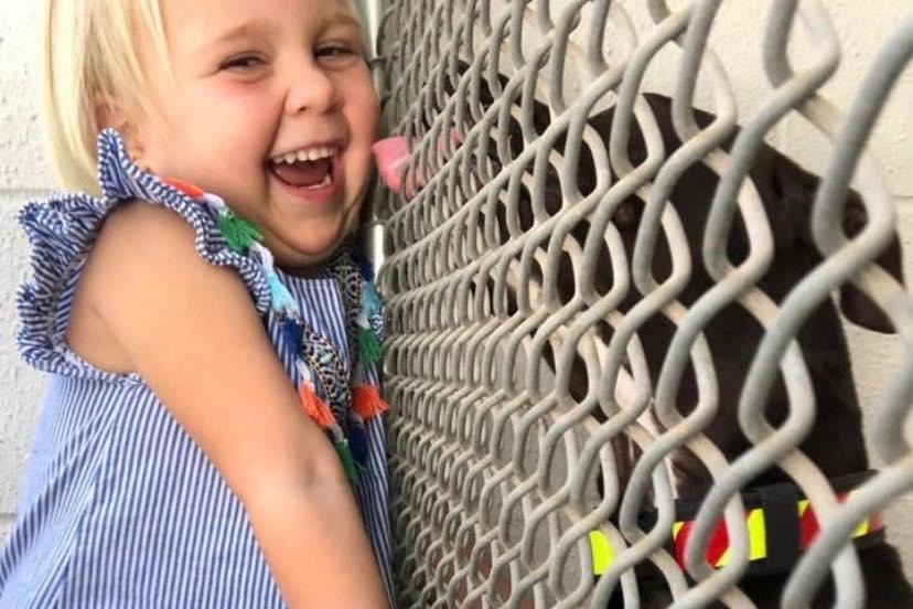 Large dog licks the face of a laughing young girl through a wire fence.
