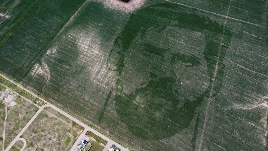 A green cornfield is viewed from above, with the face of Lionel Messi visible in the corn.