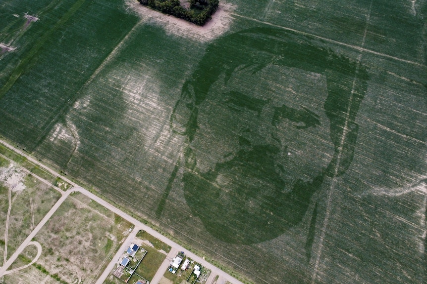 A green cornfield is viewed from above, with the face of Lionel Messi visible in the corn.