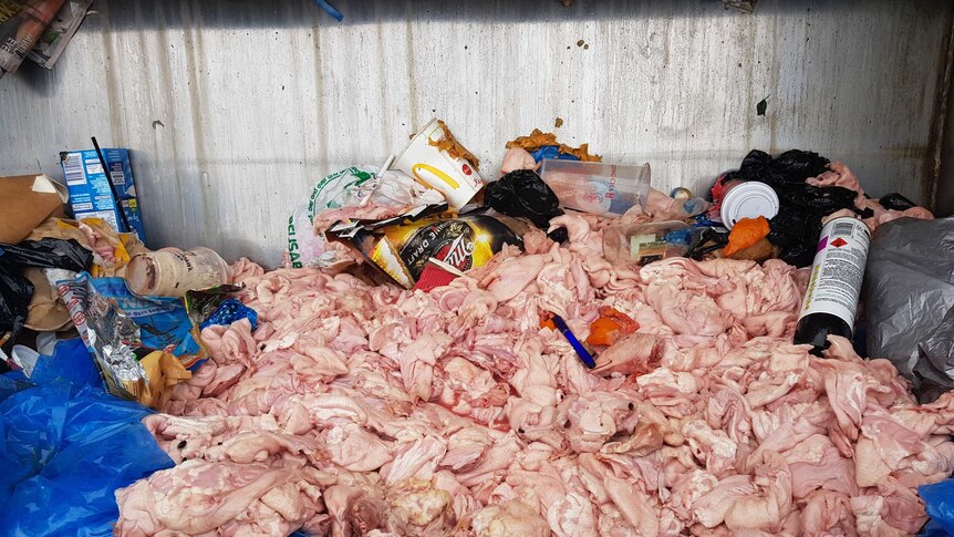 Duck pieces in an Adelaide skip bin