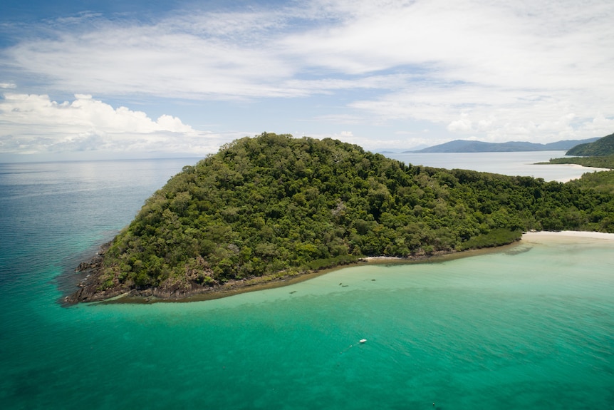 Rainforest covered headland juts into sea