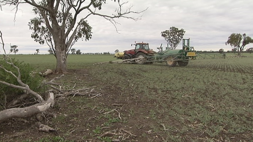 A tractor sows a crop near a lone tree.