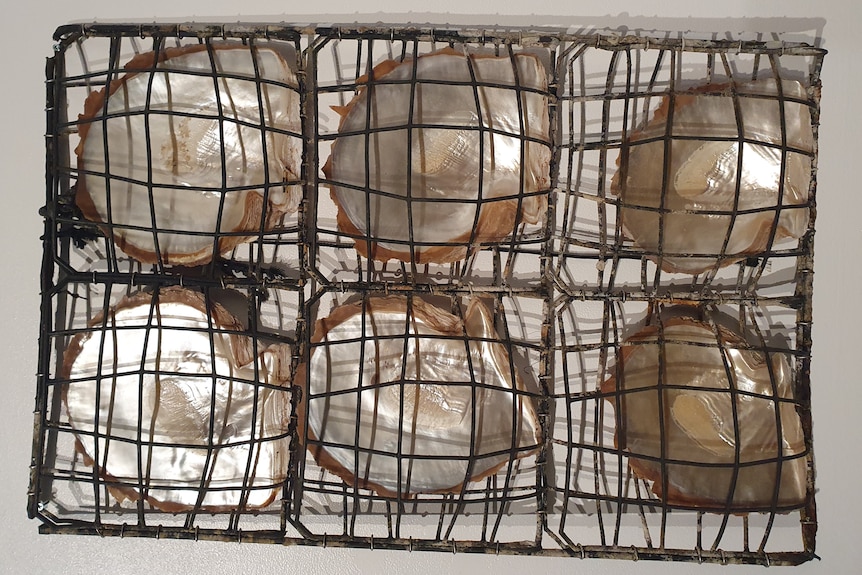 pearl shells behind a net