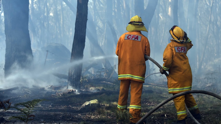 CFA workers in high-vis hose a burning area.
