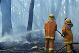 CFA firefighters at Upwey, east of Melbourne in 2009