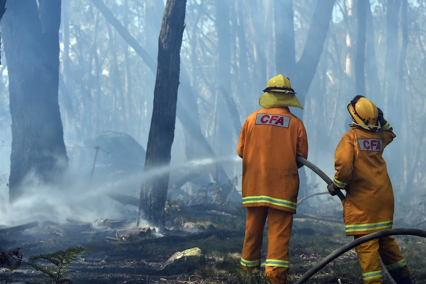 CFA workers in high-vis hose a burning area.