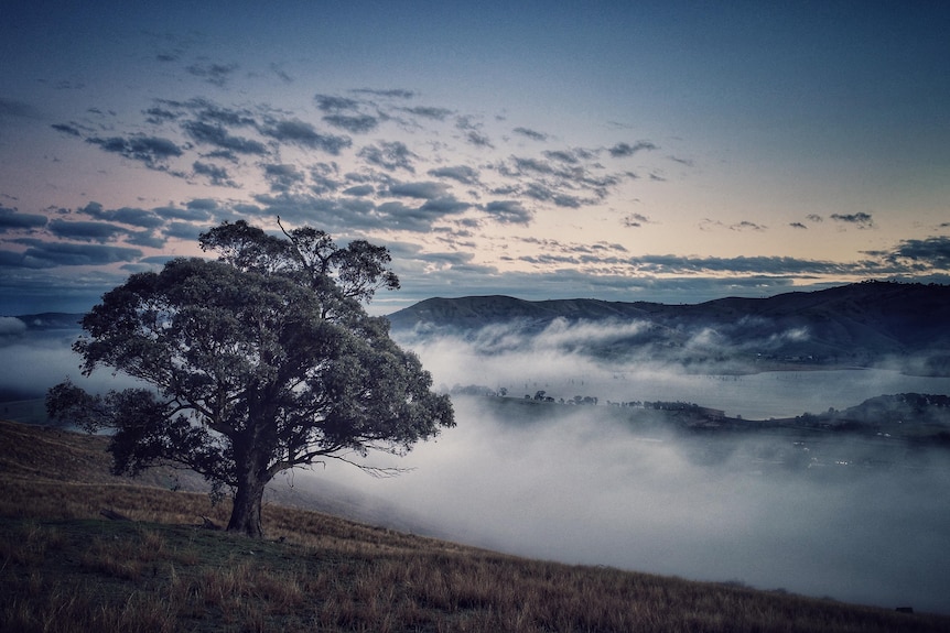 Tallangatta countryside in early morning.