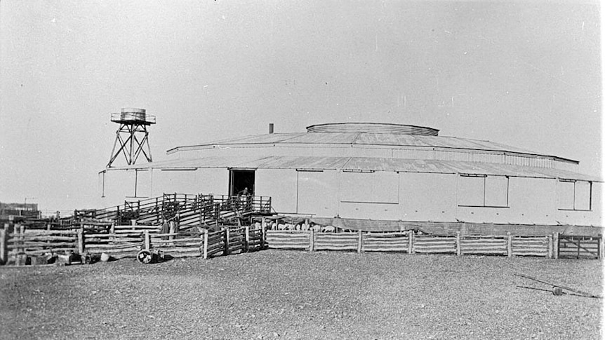 Isis Downs Wool Shed at Isisford circa 1915 in western Queensland