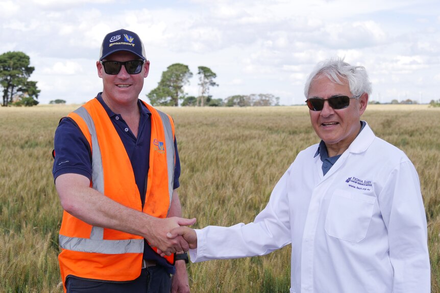 Two men in a field shaking hands