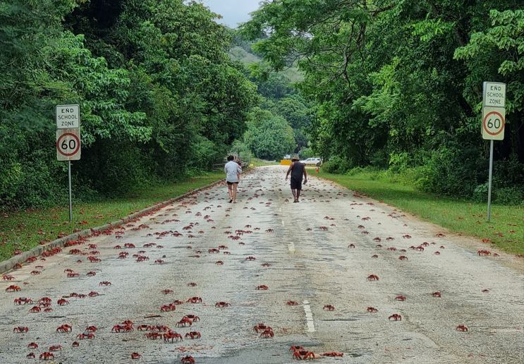 Play Video. Duration: 1 minute 2 seconds