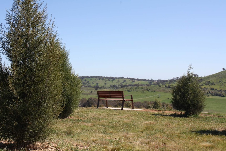 The bench donated by the Council on the Ageing ACT at Forest 40 at the National Arboretum.