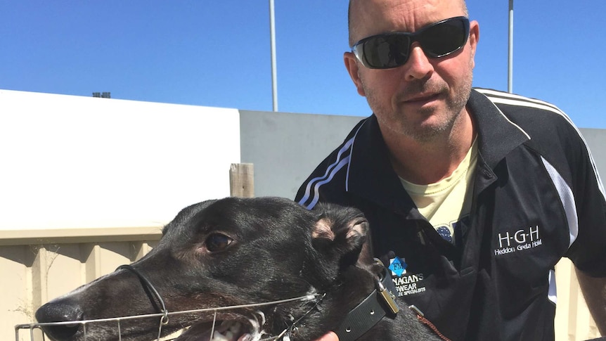 Greyhound trainer Jason Mackay