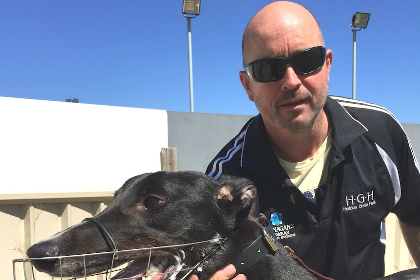 Greyhound trainer Jason Mackay