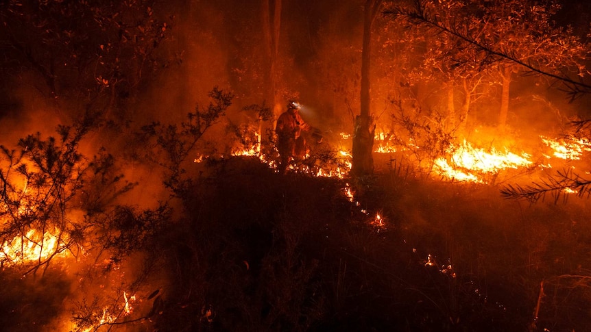 NSW Rural Fire Service firefighters back-burn.