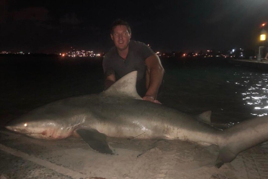 A man kneels behind a large bull shark on a beach at night, with the river and a jetty behind him.