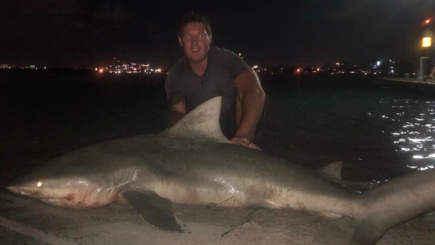 A man kneels behind a large bull shark on a beach at night, with the river and a jetty behind him.