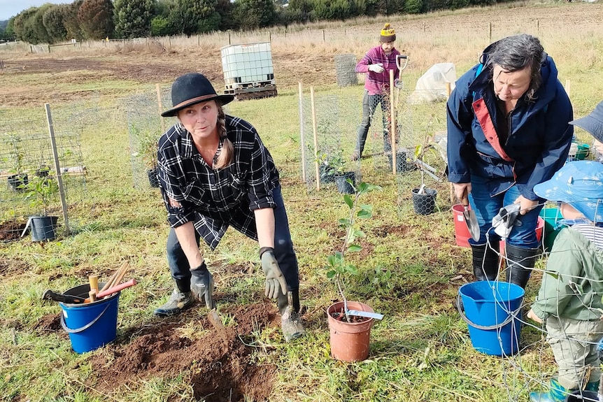 A woman in the garden digging.