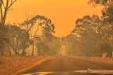 An orange haze hangs in the air over bushland.