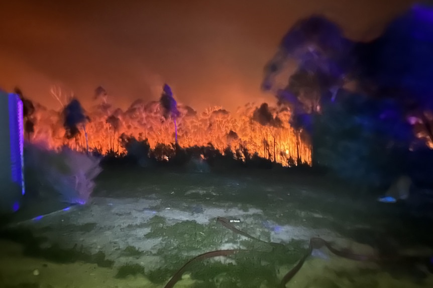 Friendly Beaches bushfire.