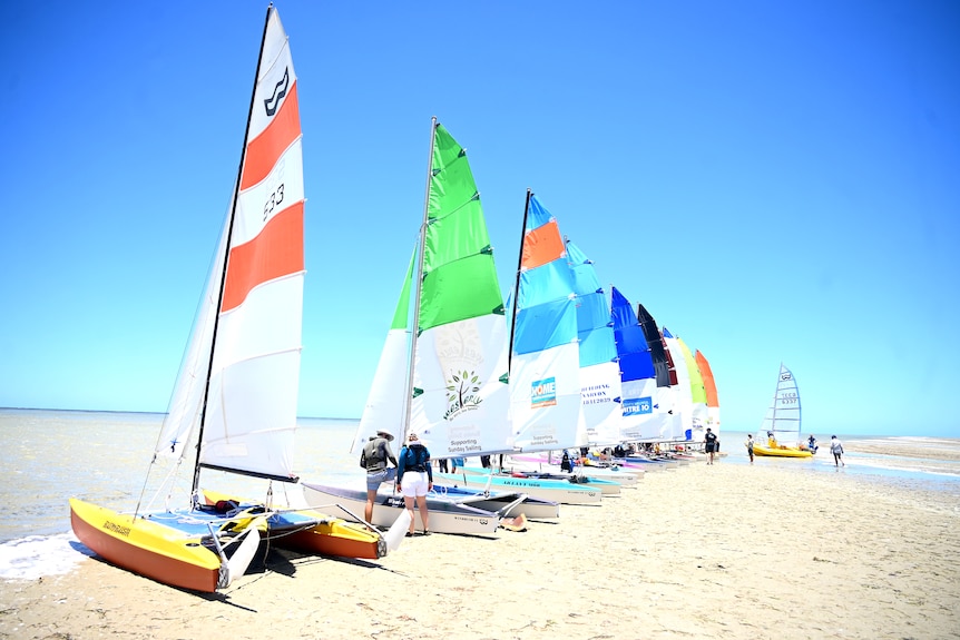 Eleven 14 foot catamarans with brightly coloured sales are lined up on a beach at low tide as water starts to rise