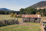 Generic image of rural Tasmanian property in front of mountains.