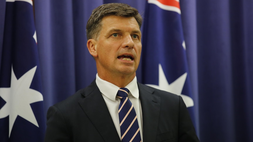 Angus Taylor, a man wearing a white shirt and dark suit, speaks while standing in front of an Australian flag
