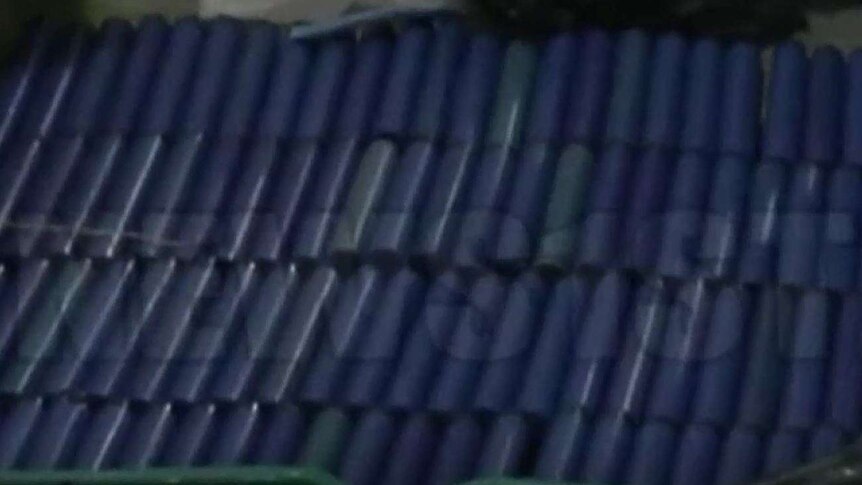 Rows of blue gelignite sticks are displayed after being seized by police