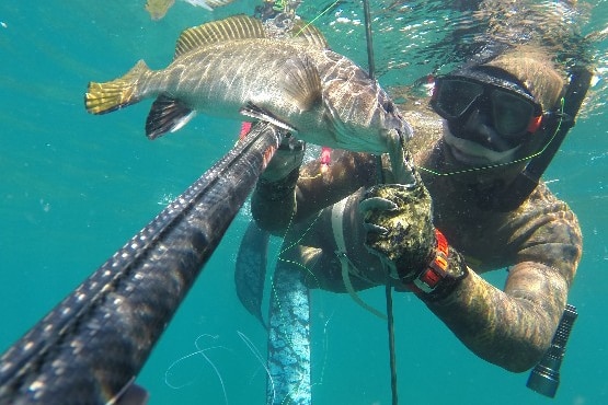 A man with a speargun and a fish underwater.