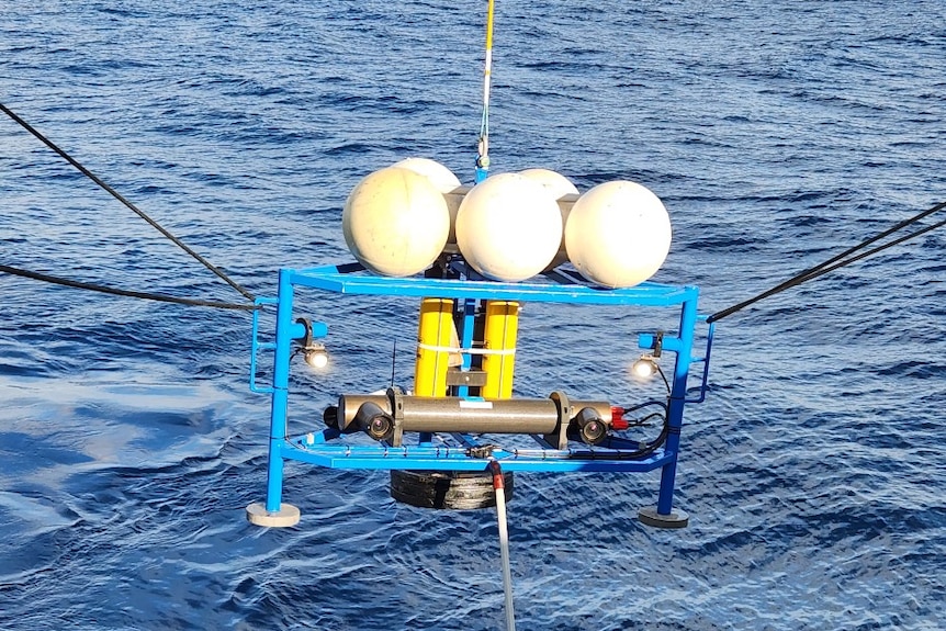 A cage with equipment is held by ropes about the sea