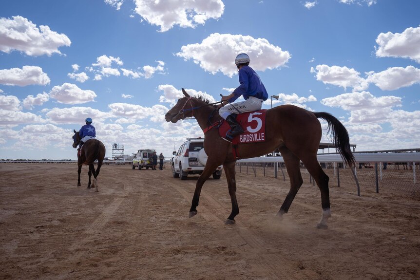 Jockey on horse with Birdsville sign on an outback dirt track. 