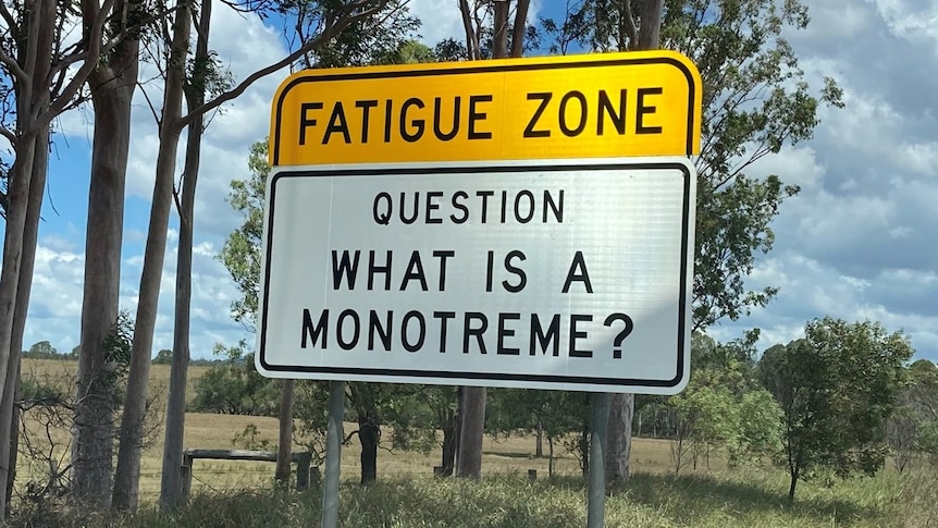 A roadside fatigue zone trivia sign asks "what is a monotreme?"