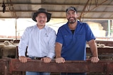 Two men, Lincoln McKinlay and Scott Mitchell, standing in a shed leaning on a fence facing the camera and smiling.