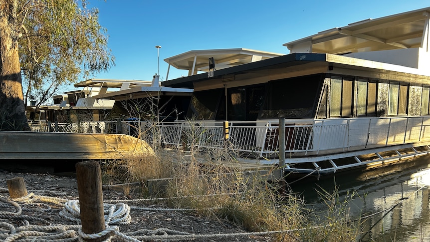 A rope attaches to a moored houseboat along the Murray river. The boat is white with tinted windows.