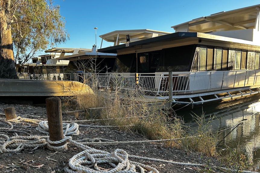 A rope attaches to a moored houseboat along the Murray river. The boat is white with tinted windows.