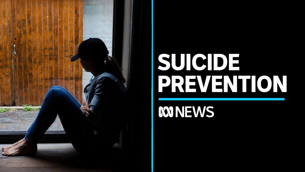 New initiatives aim to help those at risk of suicide - ABC News