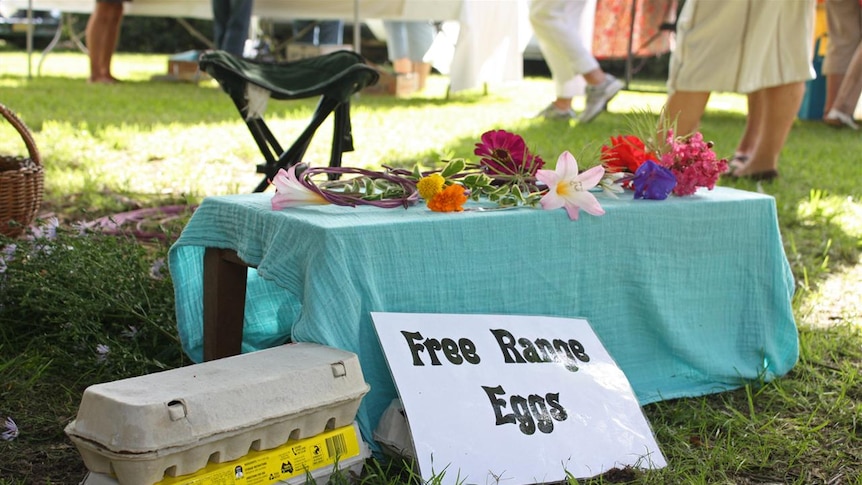 Eggs and flowers.