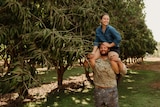 A woman sits on a man's shoulders smiling next to a row of mango trees