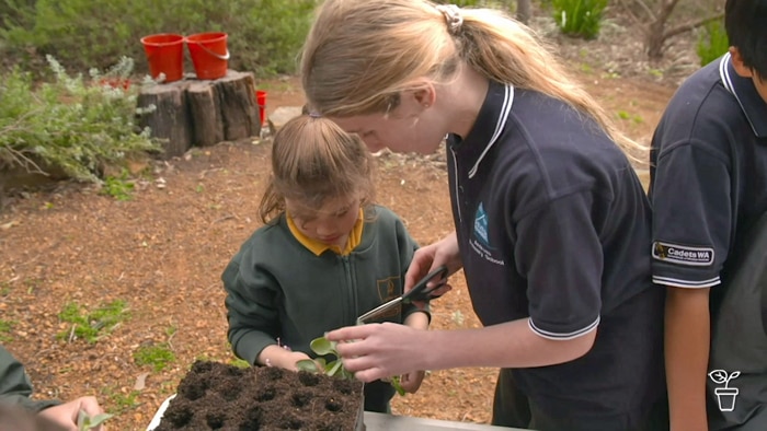 Older student helping younger student to plant up plants in seedling tray