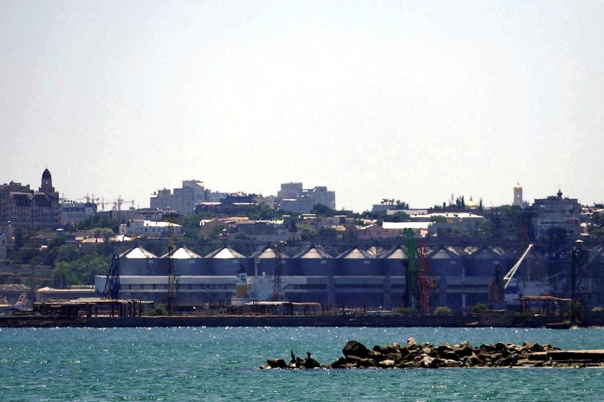 Image of far off grain terminal at sea port.