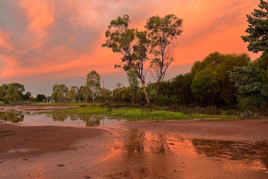 A flooded street with trees in the background and a sky coloured with pink clouds, reflected in the floodwater.