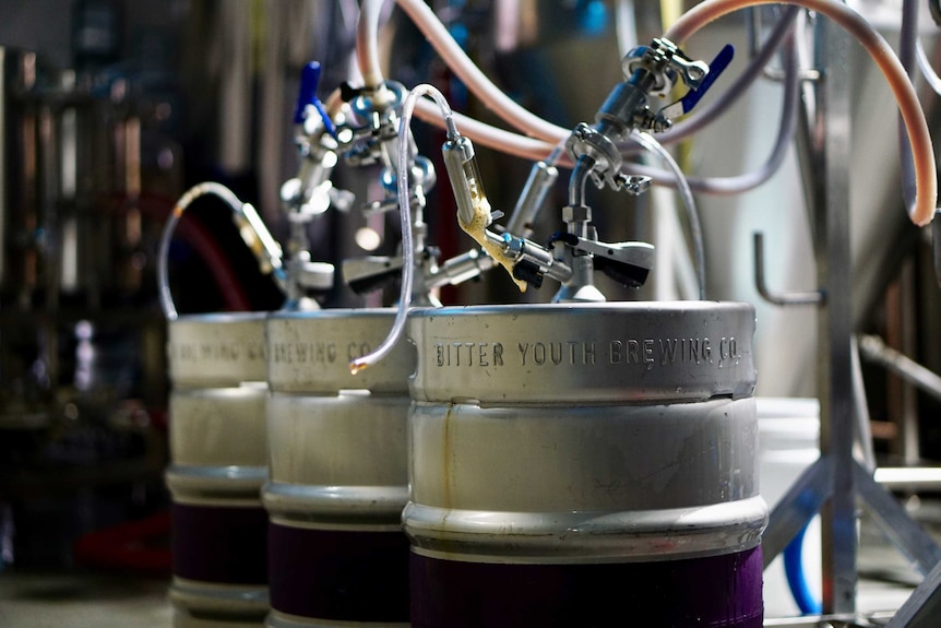Three kegs lined up in a brewery.