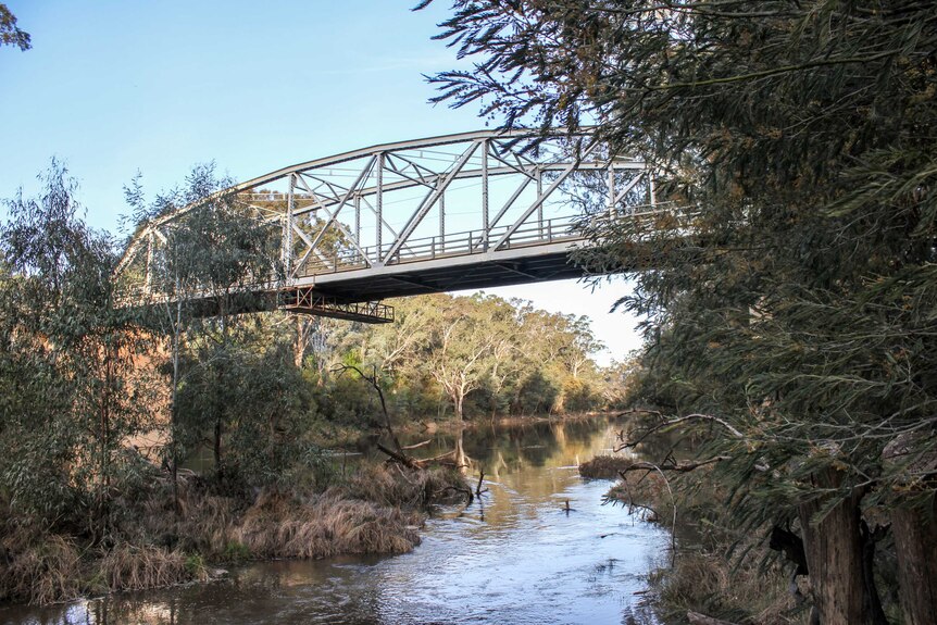 A bridge over the top of a river surrounded by bush.