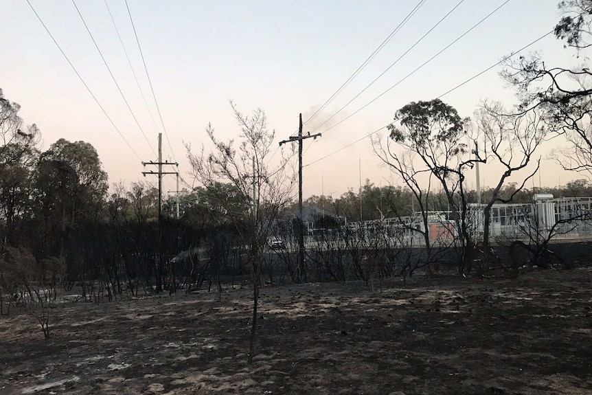 Tree skeletons are black, ash covers the floor and two electricity poles have been burnt, next to substation.