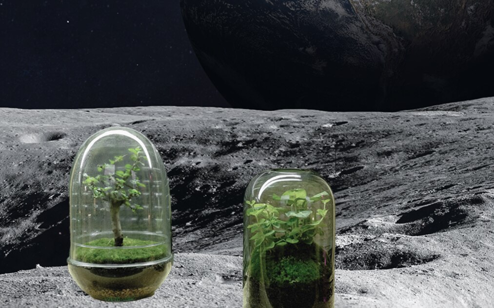 A photoshoppped image of two terrariums on the moon. 