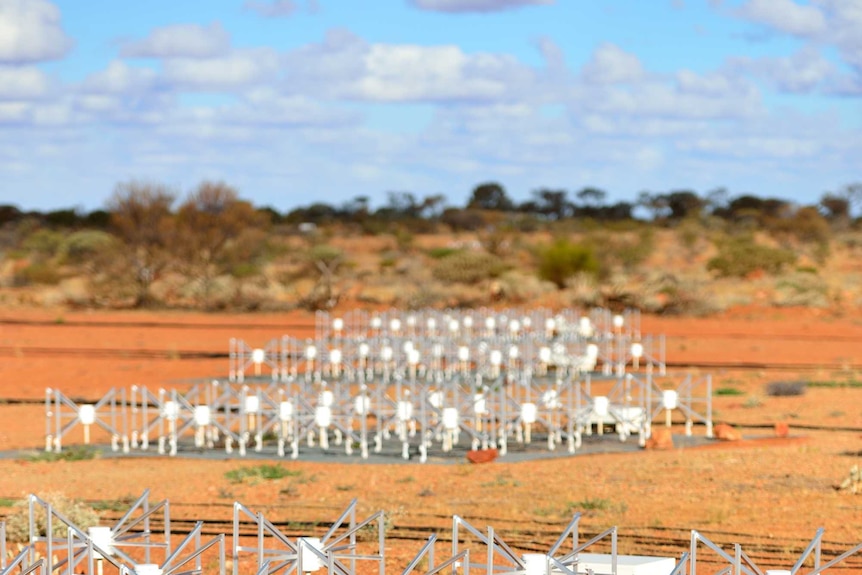 Dipole antennas of the Murchison Widefield Array (MWA) radio telescope in Mid West Western Australia