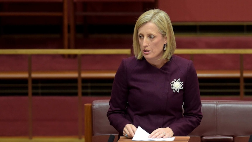 Labor senator Katy Gallagher delivers her maiden speech in the Senate in 2015.