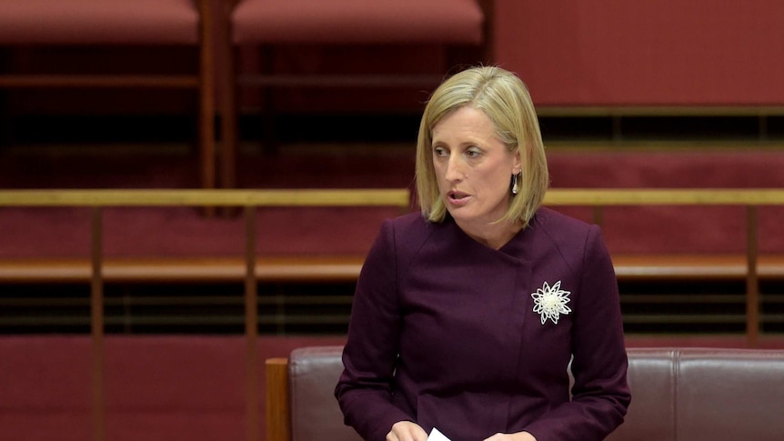 Labor Senator Katy Gallagher delivers her maiden speech in the Senate