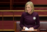 Labor Senator Katy Gallagher speaks in the Senate.