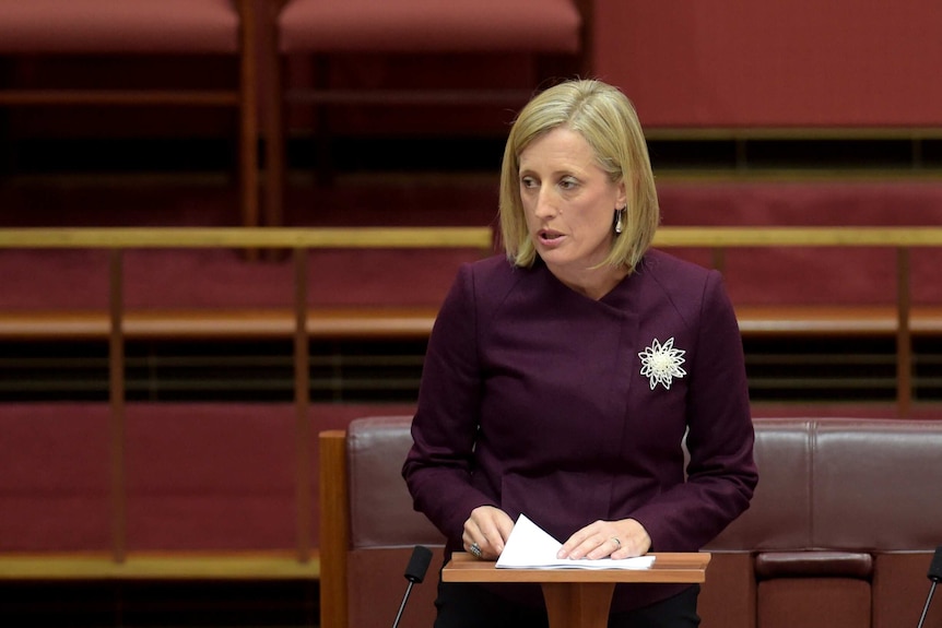 Labor Senator Katy Gallagher delivers her maiden speech in the Senate