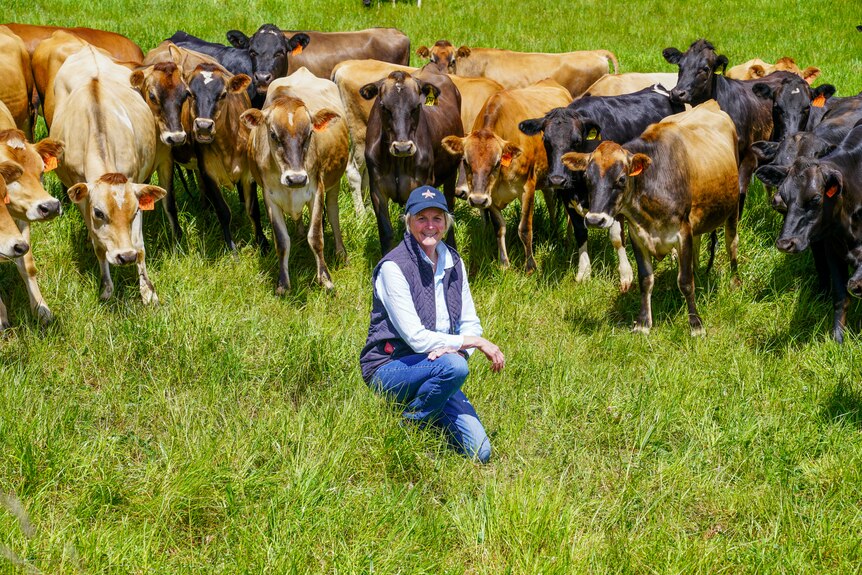 A woman crouched in a green field, surrounded by cows.